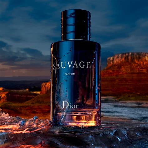 sauvage cologne kohl's